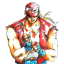 terrorbogard