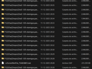 Captura-de-pantalla-2025-12-12-083307